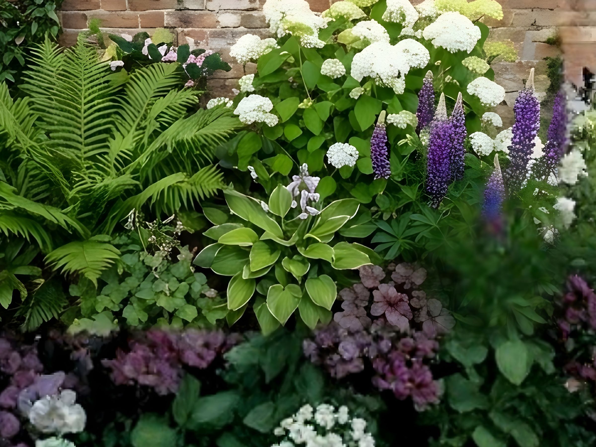 Evening view showing the warm lighting along the garden path